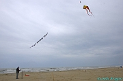 RIMINI 2012 - 053
